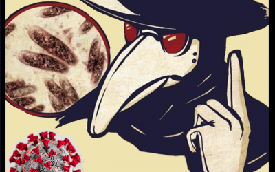 casy-viry.png