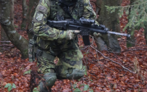 09_vpred.jpg