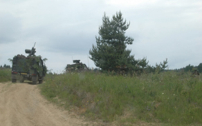 dsc_4035.jpg