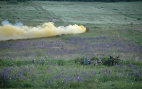 dsc_4117.jpg