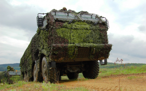 t815budirespekt_.jpg